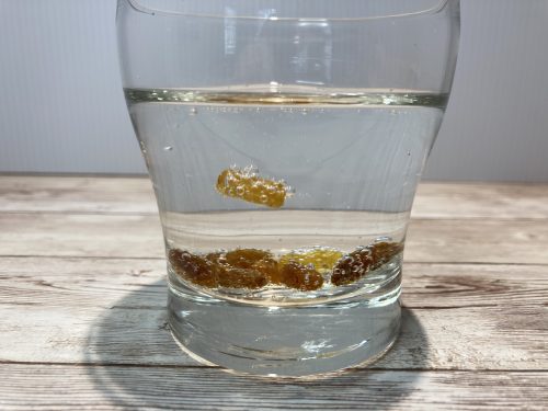Dancing Raisins Experiment - Little Bins for Little Hands