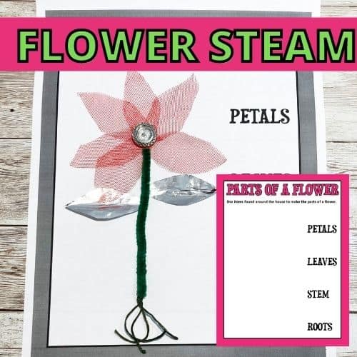 parts of a flower craft for kids