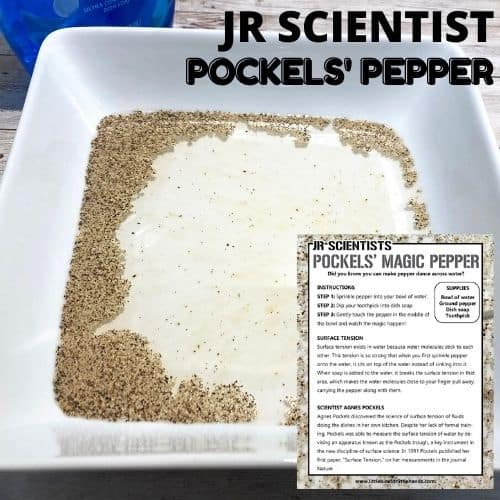 Magic Pepper and Soap Experiment