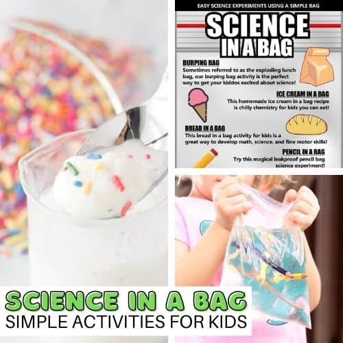 Fun Science In A Bag Activities