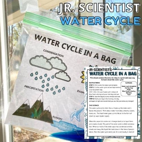 Water Cycle In A Bag