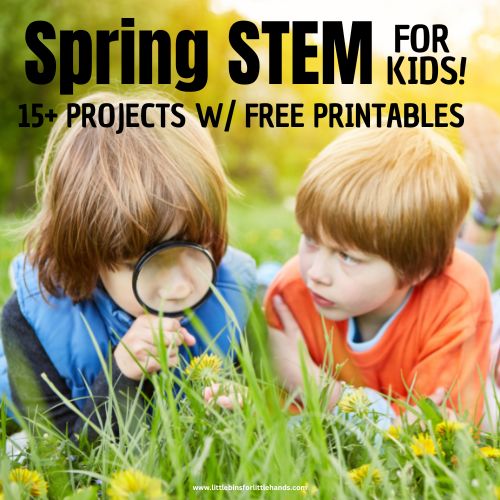 Spring STEM Activities For Kids