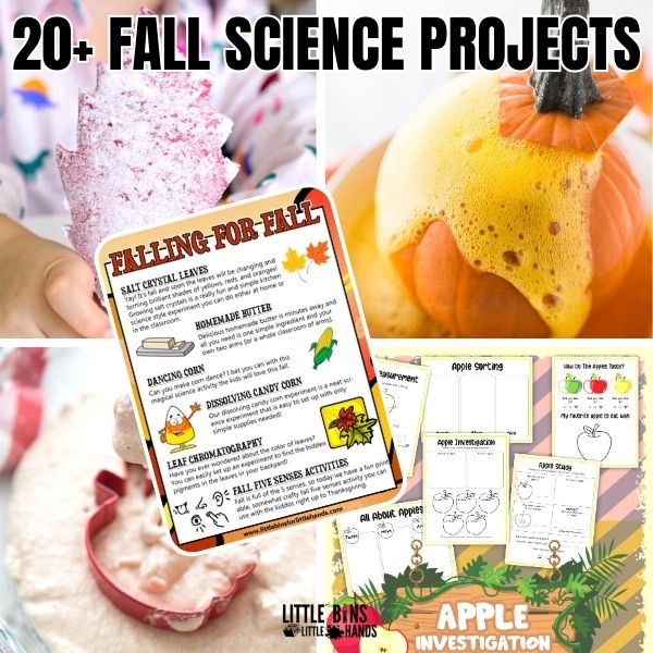 Preschool Science Activity - Fall Nature Bottle - No Time For
