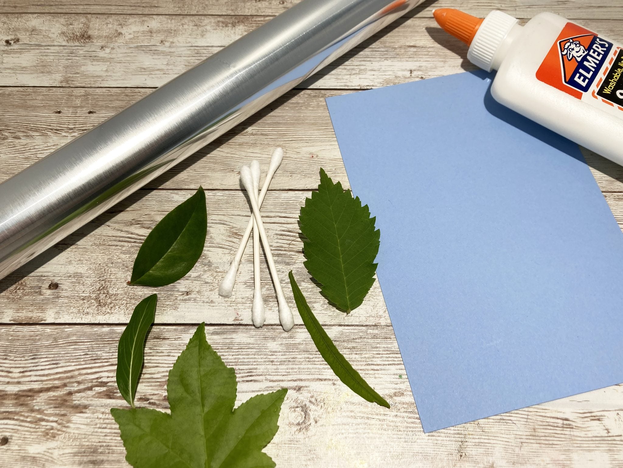 Leaf Rubbing Activity - Little Bins for Little Hands