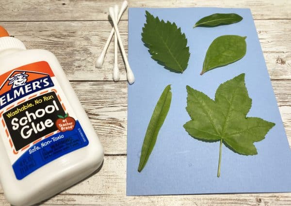 Leaf Rubbing Activity - Little Bins for Little Hands