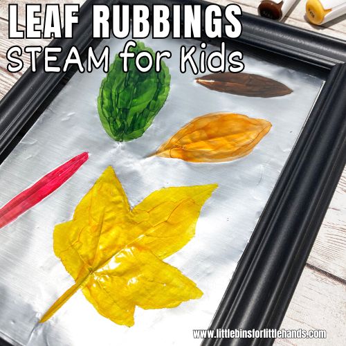 Leaf Rubbing Art For Kids