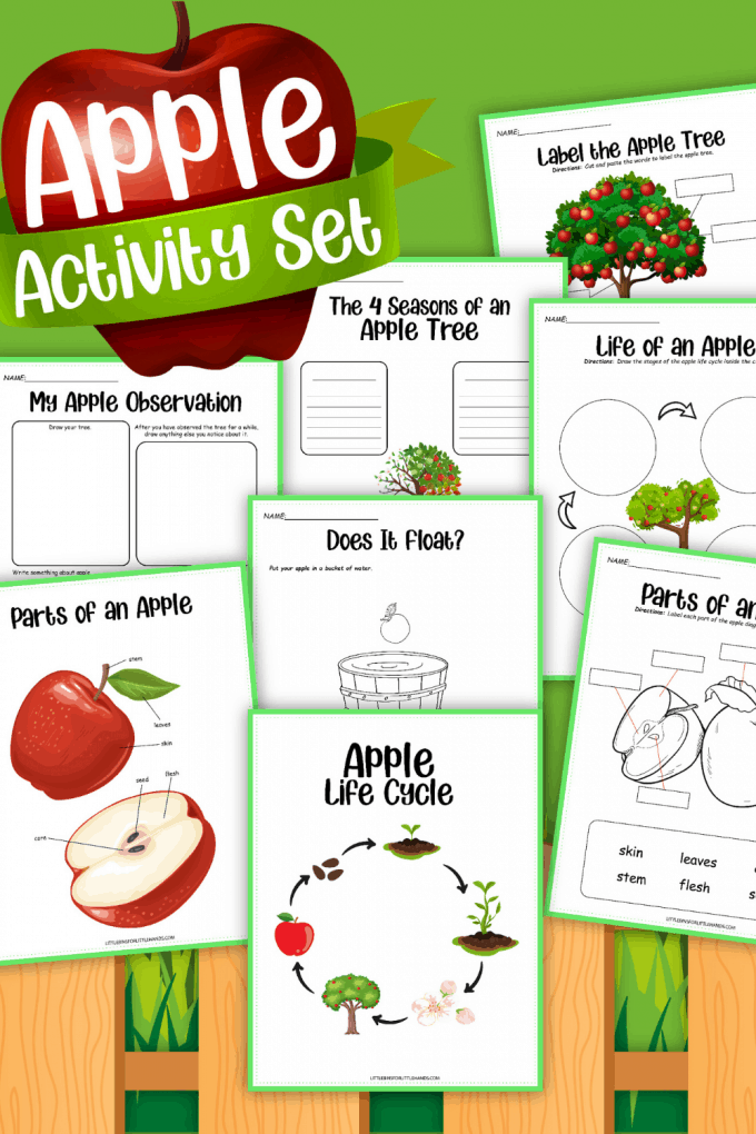 apple-life-cycle-activities-little-bins-for-little-hands