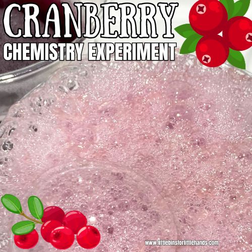 Fizzing Cranberry Experiment