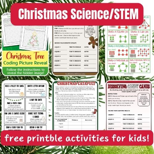 Printable Christmas Science Worksheets