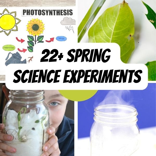 Spring Science Activities For Kids