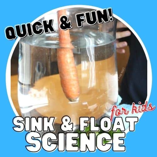 Sink or Float Experiment