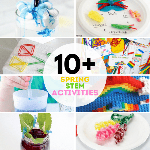 Spring STEM Activities for Kids
