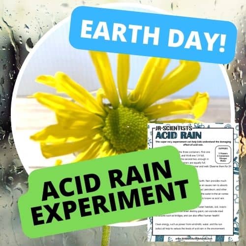 Acid Rain Experiment