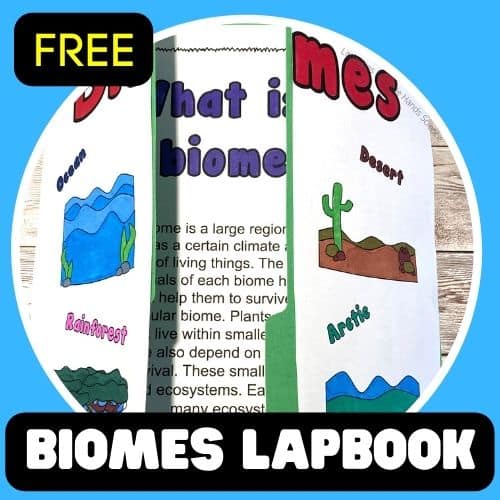 Biomes Of The World - Little Bins for Little Hands