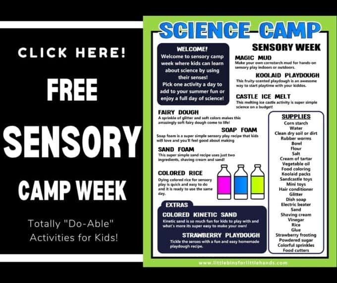 Sensory Summer Camp