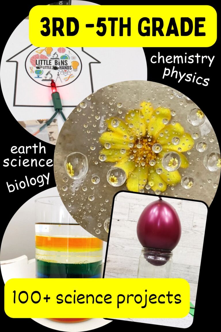 Elementary Science Experiments - Little Bins for Little Hands