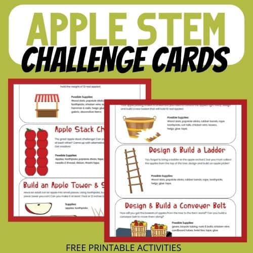 Apple STEM Challenge Cards