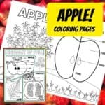 10 Fun Apple Art Projects For Kids - Little Bins for Little Hands