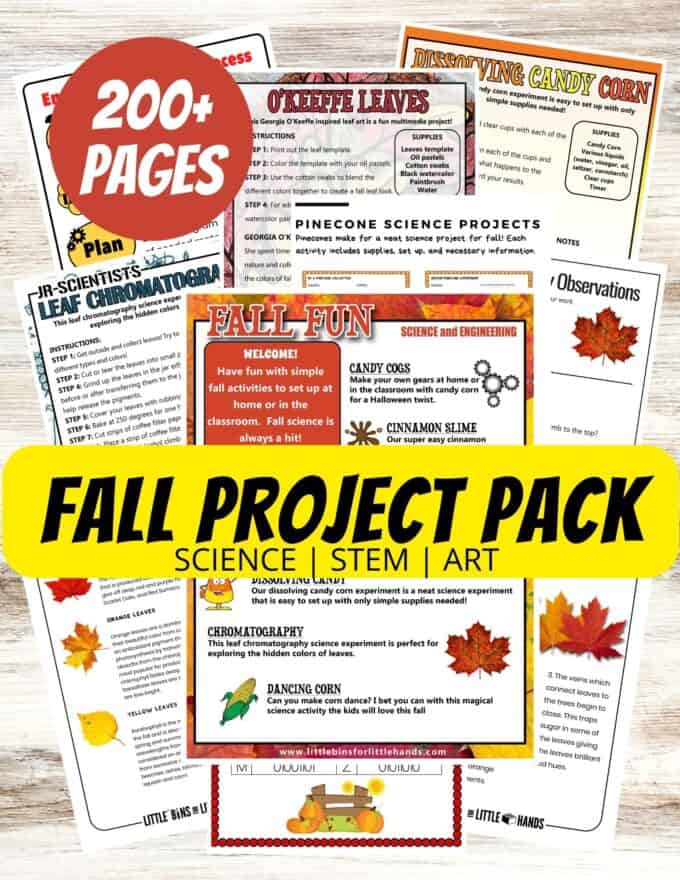 fall worksheets