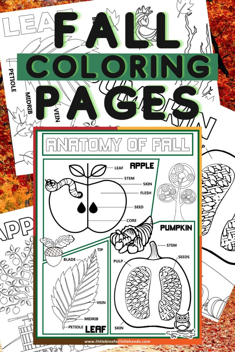 Fall Coloring Pages for Easy Science (Free Printables)