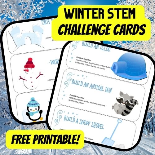 Winter STEM Challenge Cards