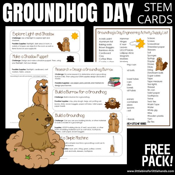 Groundhog Day STEM Challenge Cards