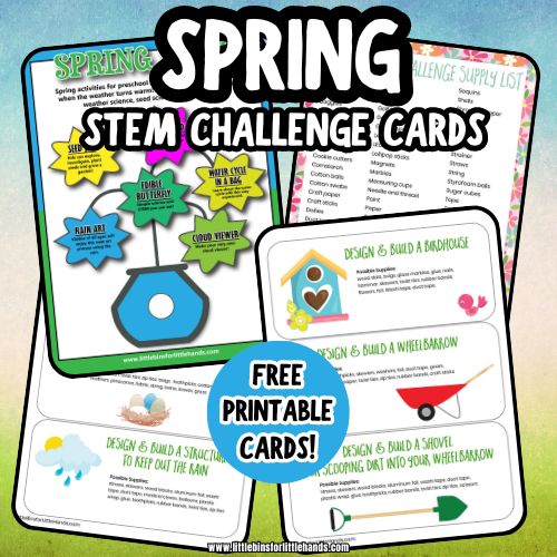Spring STEM Challenge Cards