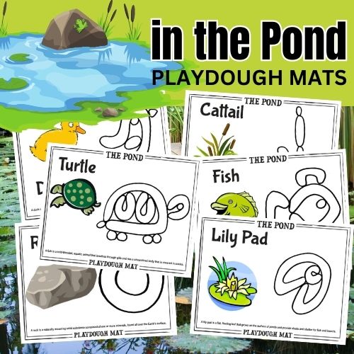 Pond Life Playdough Mats