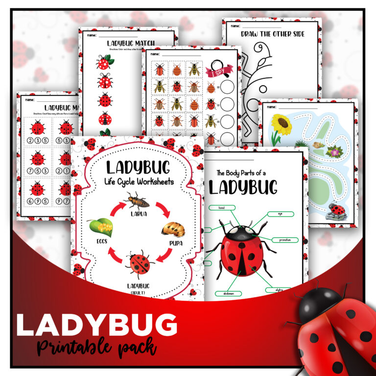 Ladybug Life Cycle For Kids