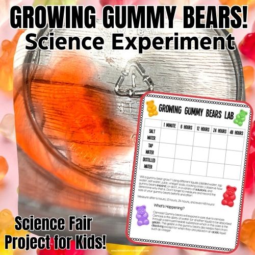Gummy Bear Osmosis Experiment