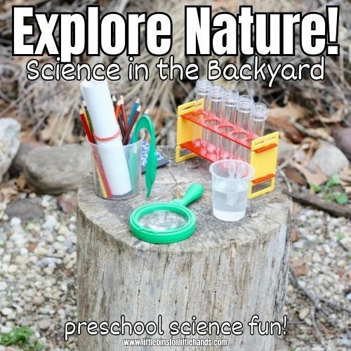 Set Up A Preschool Nature Table