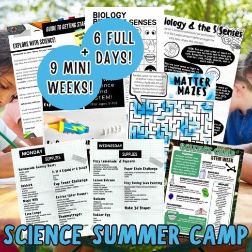 Summer Science Camp Activities for Kids - Little Bins for Little Hands
