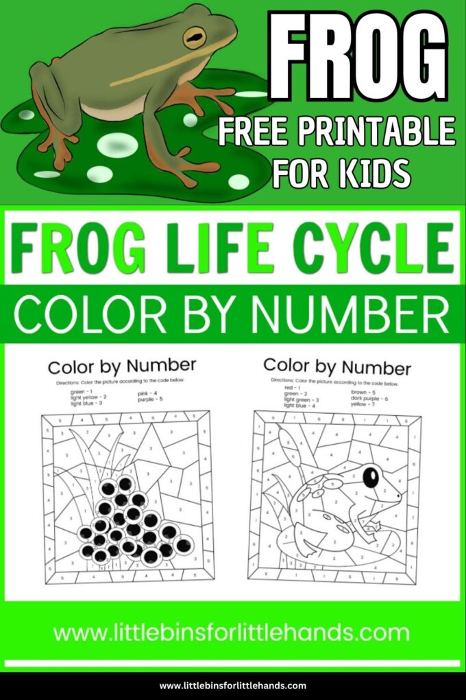 frog life cycle color by number activity