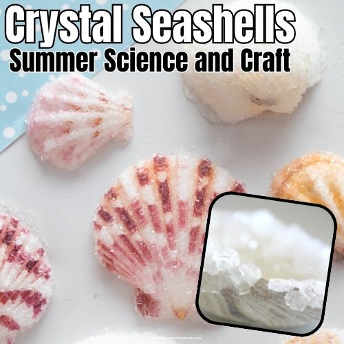 Shell Crystal Craft