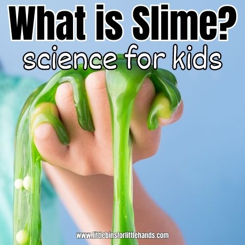 What Is Slime? A Liquid or Solid?