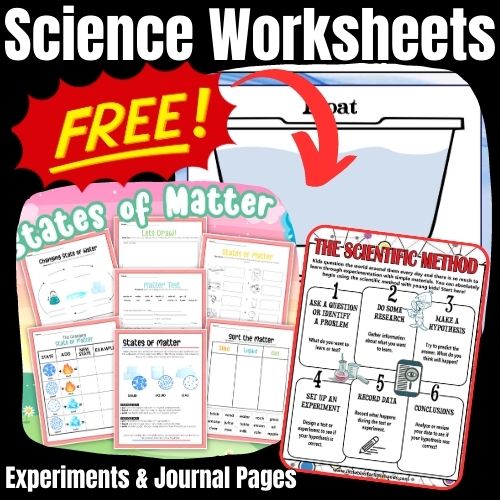 Science Worksheets For Preschool To Elementary