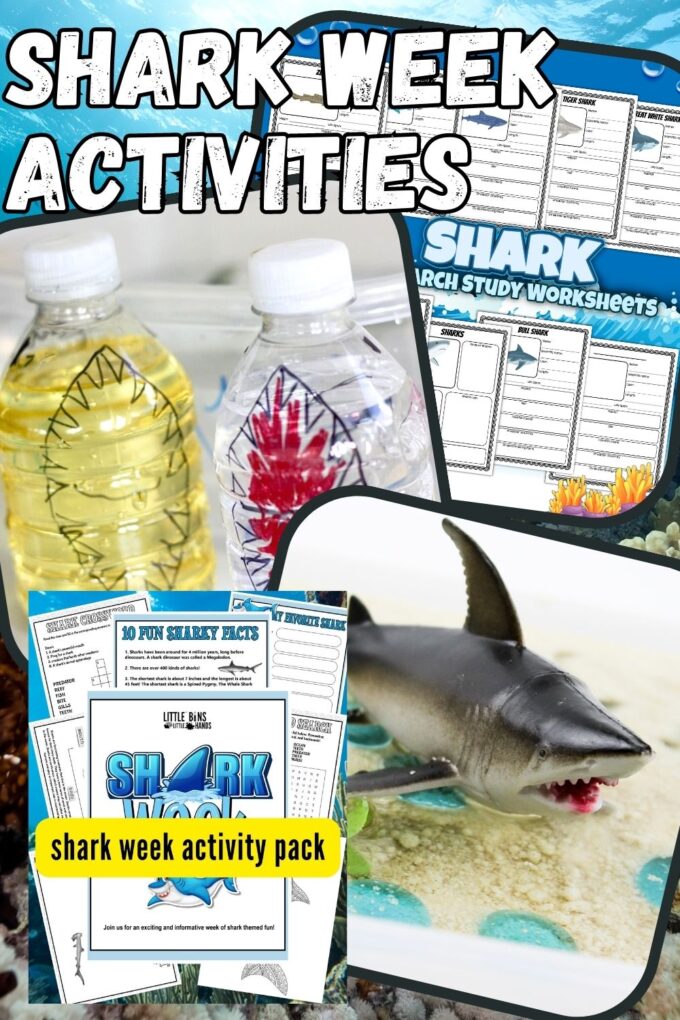 Shark Facts For Kids Free Printable
