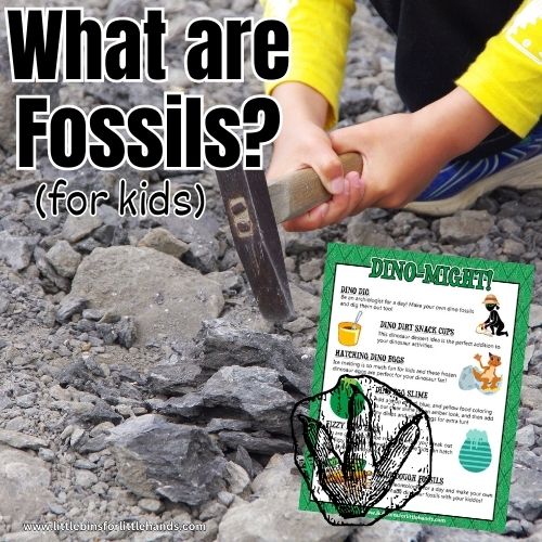 What Is A Fossil?