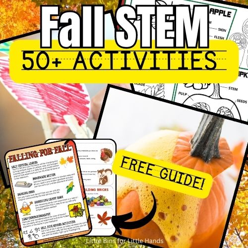 50 Amazing Fall STEM Activities