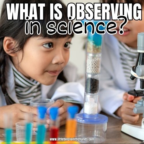What is Observation in Science?