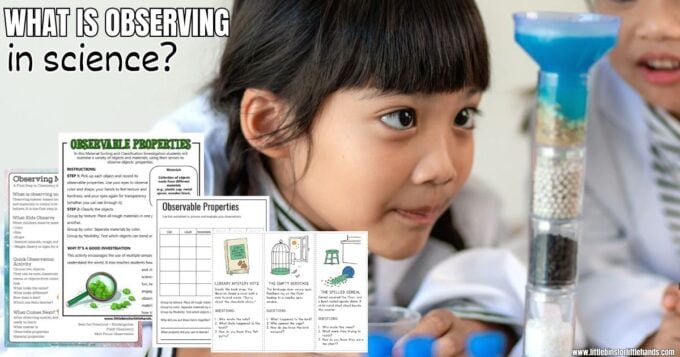 science observation activities