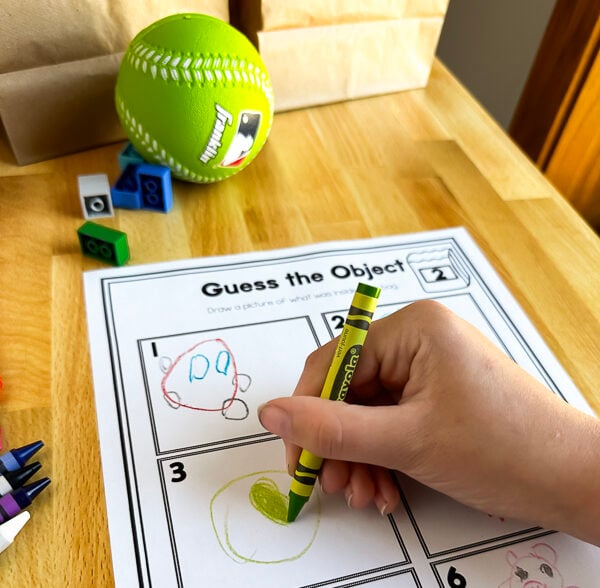 guess the object preschool science activity for the senses