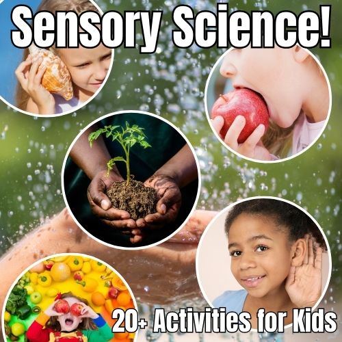 Science Sensory Activities For Preschoolers