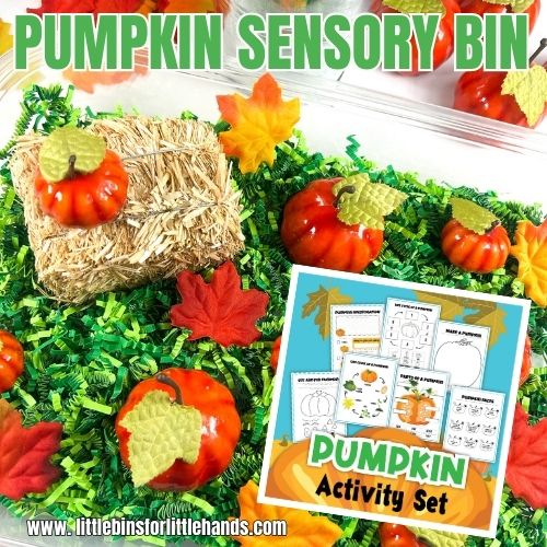 Easy Pumpkin Sensory Bin For Fall