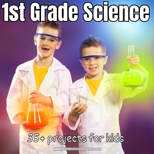 35 Science Projects For 1st Graders