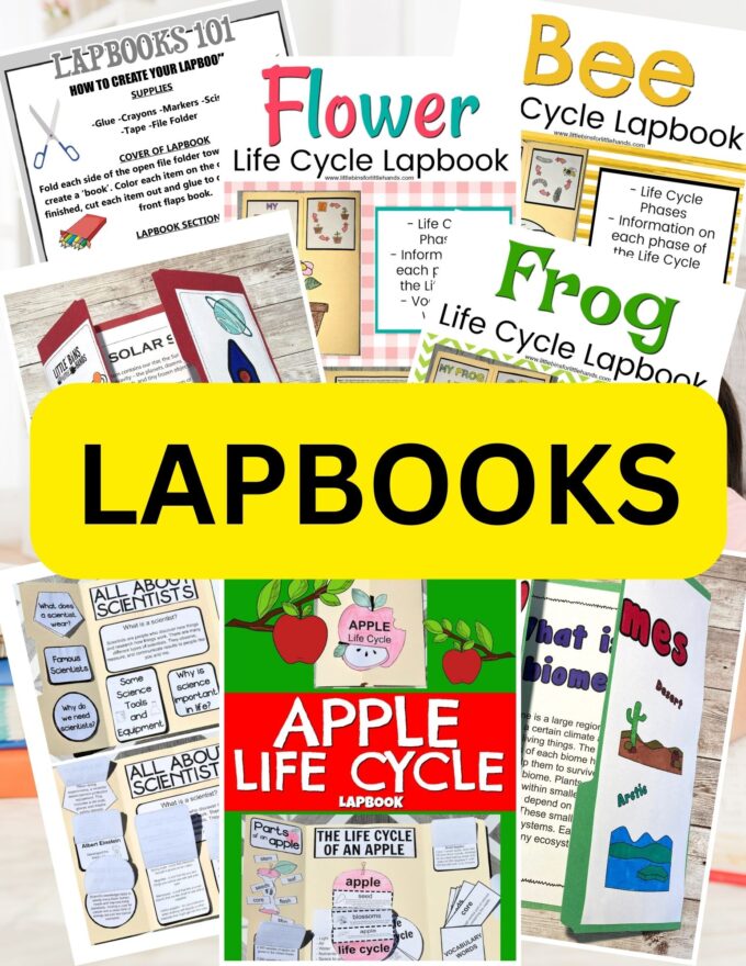 biography lapbook examples