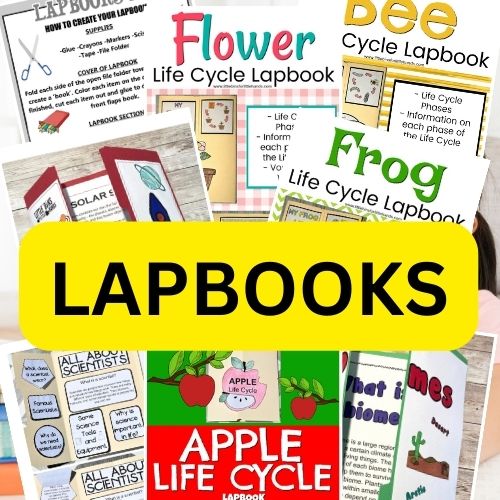 What Is A Lapbook With Examples