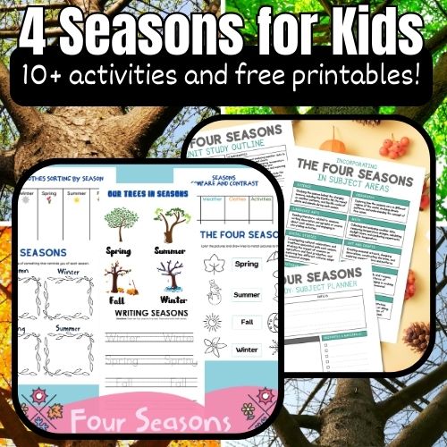 Four Seasons Worksheets For Kids