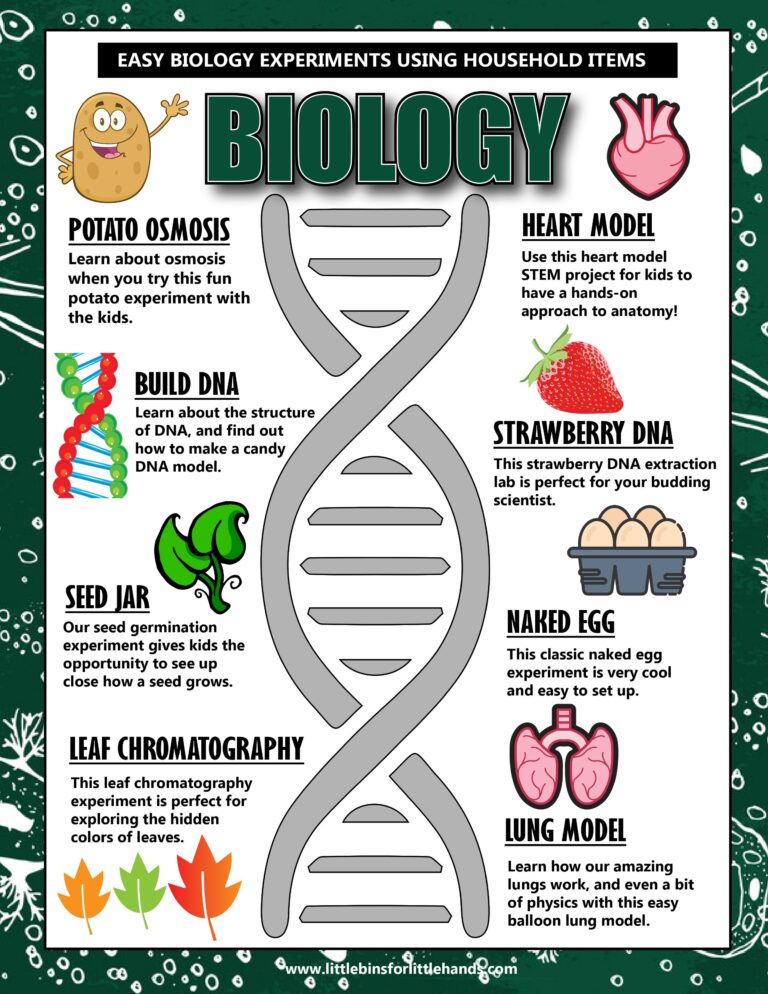 20 Hands-on Biology Activities For Kids