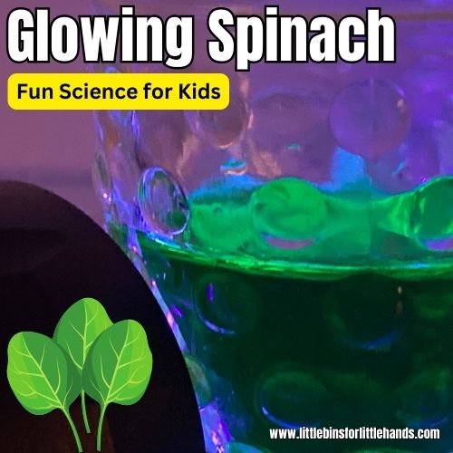 Glowing Spinach Experiment